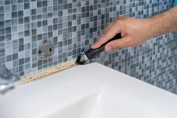 Best Home Mold Removal  in Becker, MN