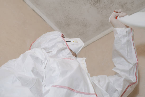 Best Mold Testing  in Becker, MN