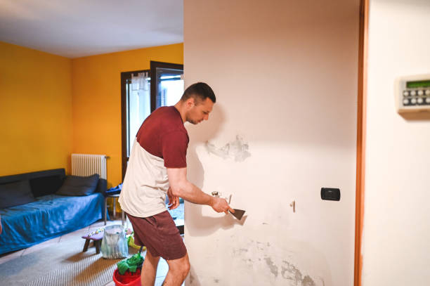 Best Fast Mold Removal  in Becker, MN